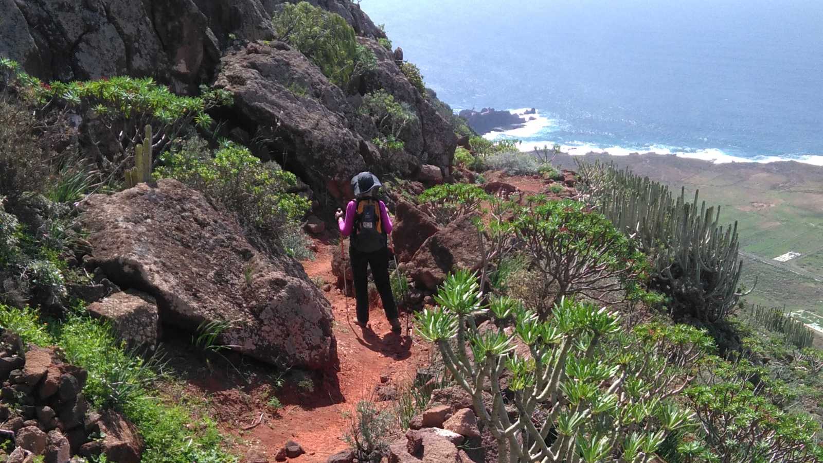 Descent on the hiking trail PR TF-51 to Punta de Teno